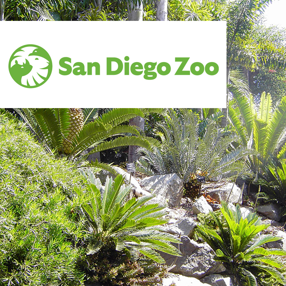  San Diego Zoo