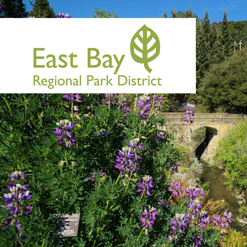 Tilden Regional Park