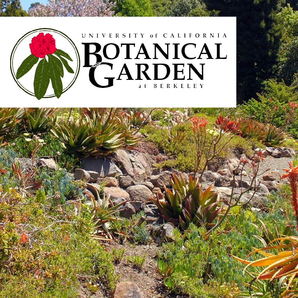  UC Berkeley Botanical Gardens