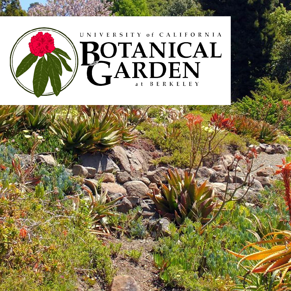 UC Berkeley Botanical Gardens