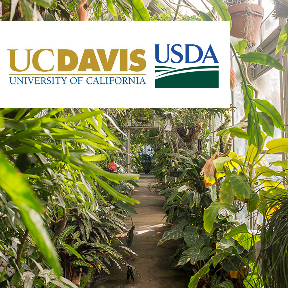  UC Davis/USDA Germplasm Center