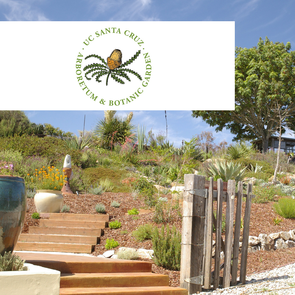 UC Santa Cruz Botanical Gardens