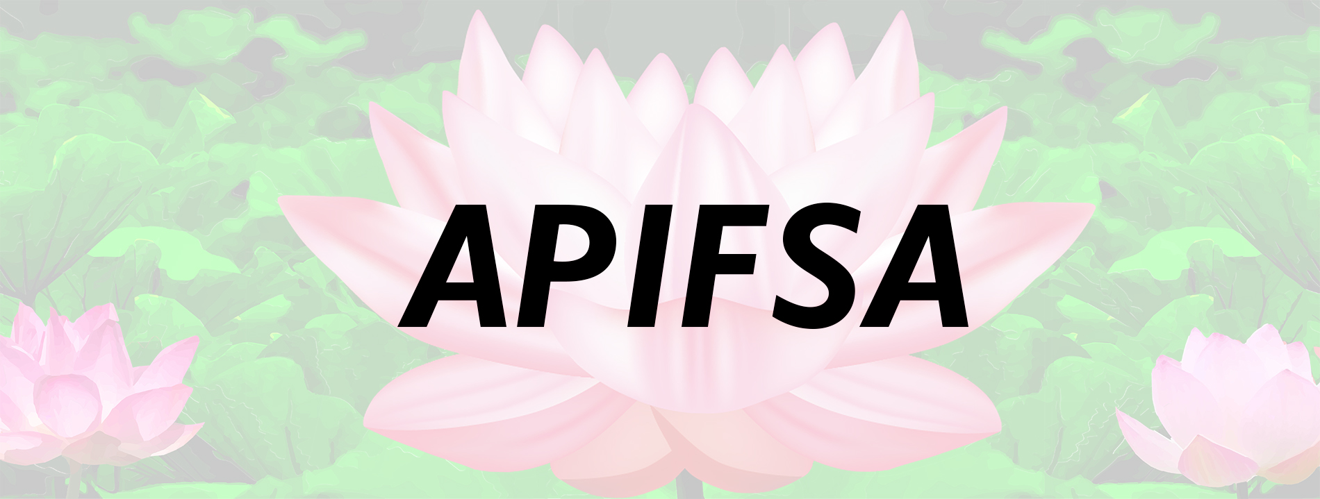 APIFSA LOGO
