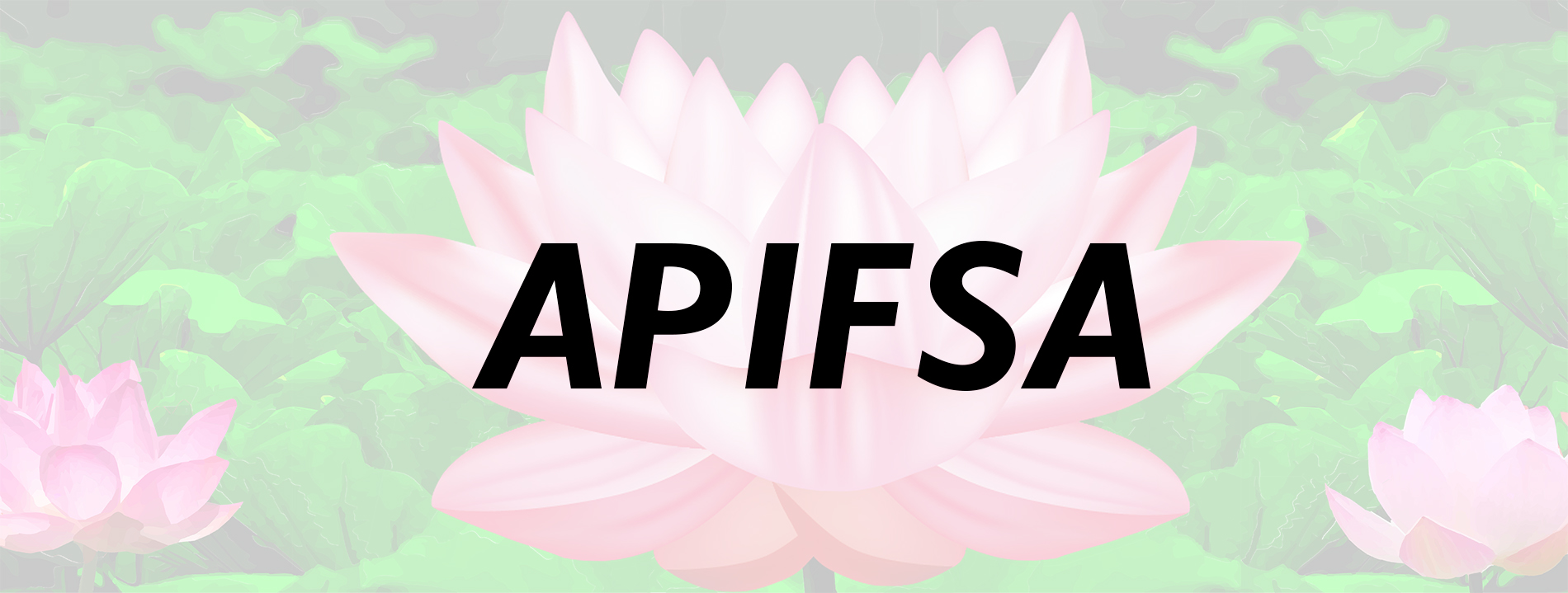 APIFSA LOGO