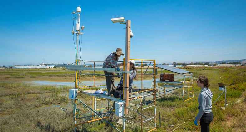 students and faculty in the wetlands