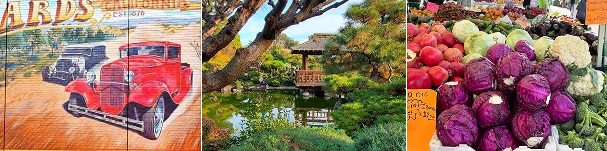 Left: A Hayward mural with vintage care, Middle: A gazebo above a pond in the Japanese garden, Right: local produce from the Hayward farmer's market