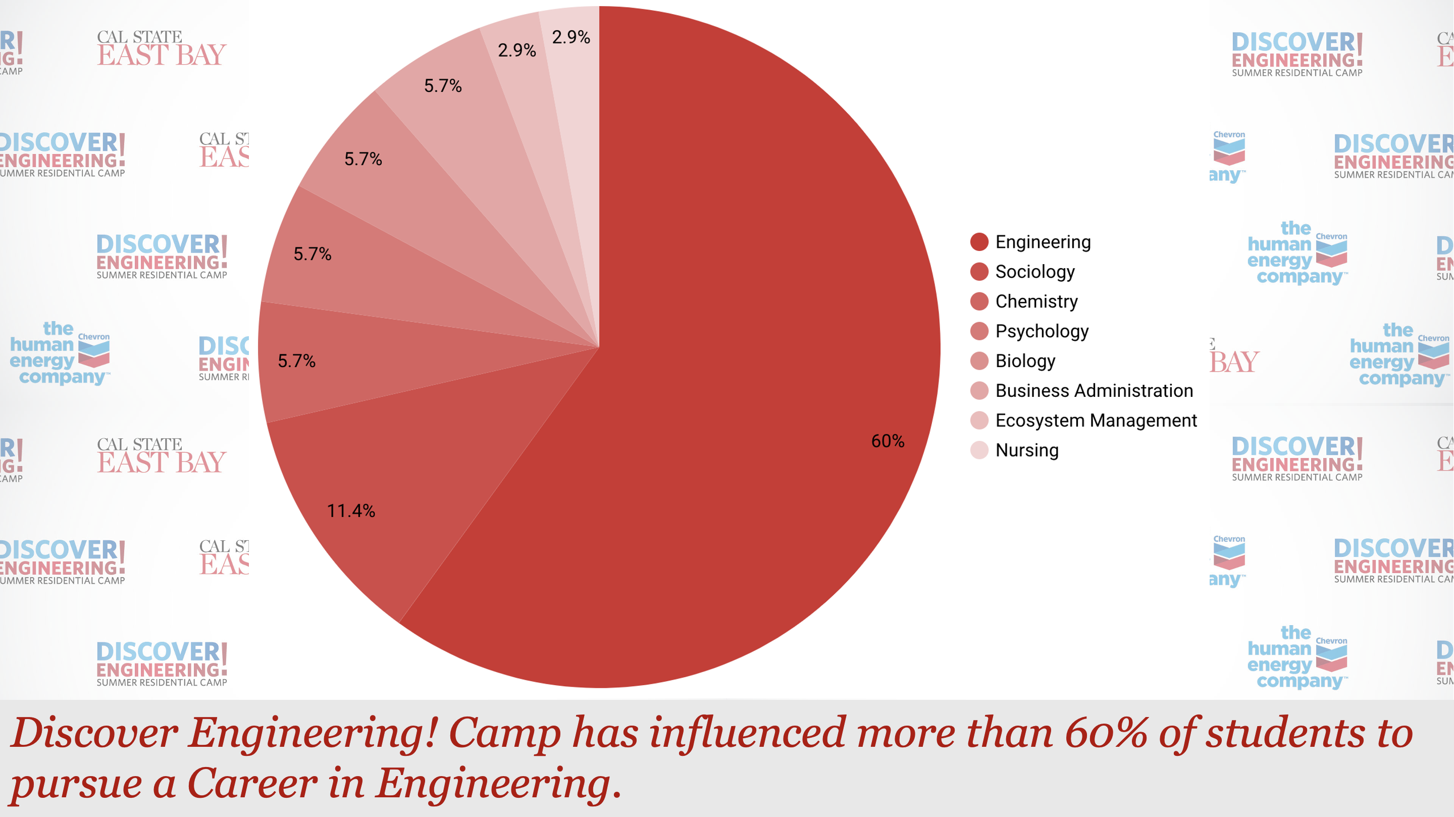 influence-of-de-on-pursuing-engineering.png