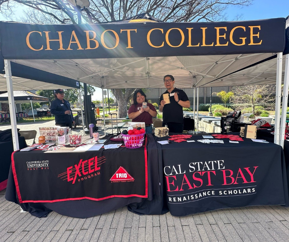 Enrollment comparison chart