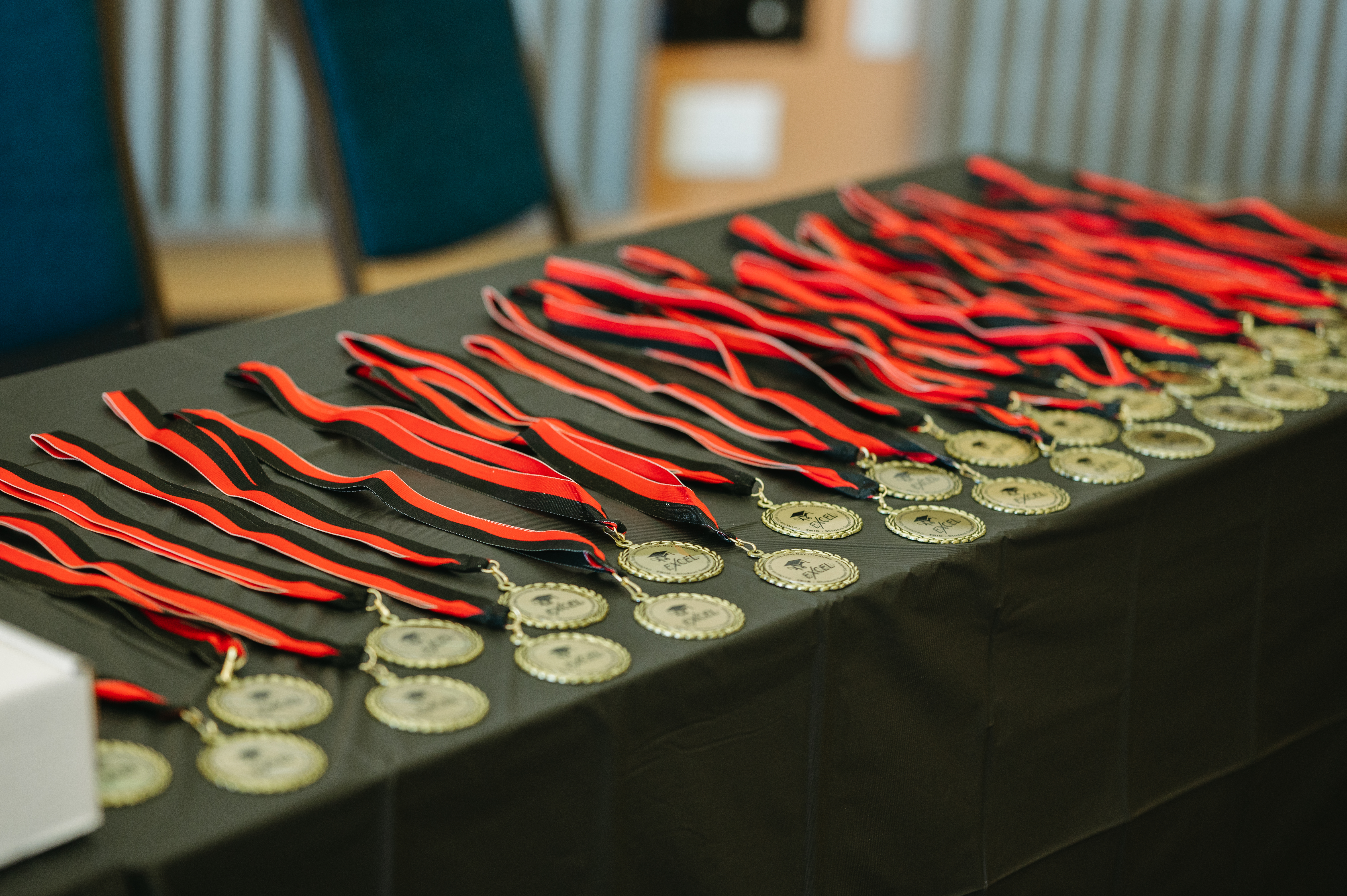 Picture of EXCEL Graduate Medals