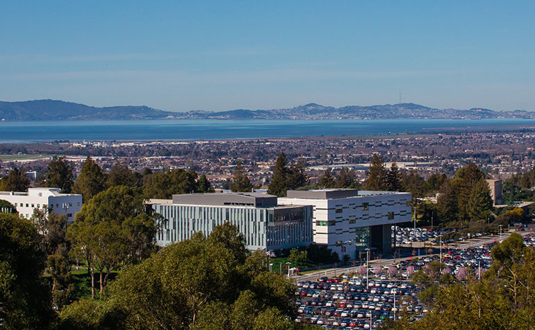 View overlooking CSUEB