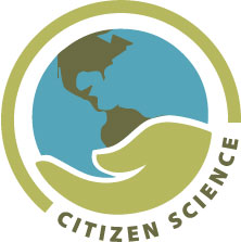 “citizen