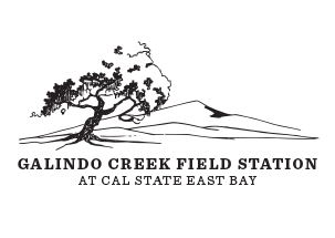 logo galindo creek