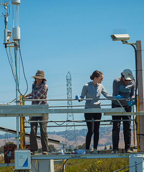 Three females working in the wetlands