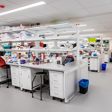  Clean white science lab space