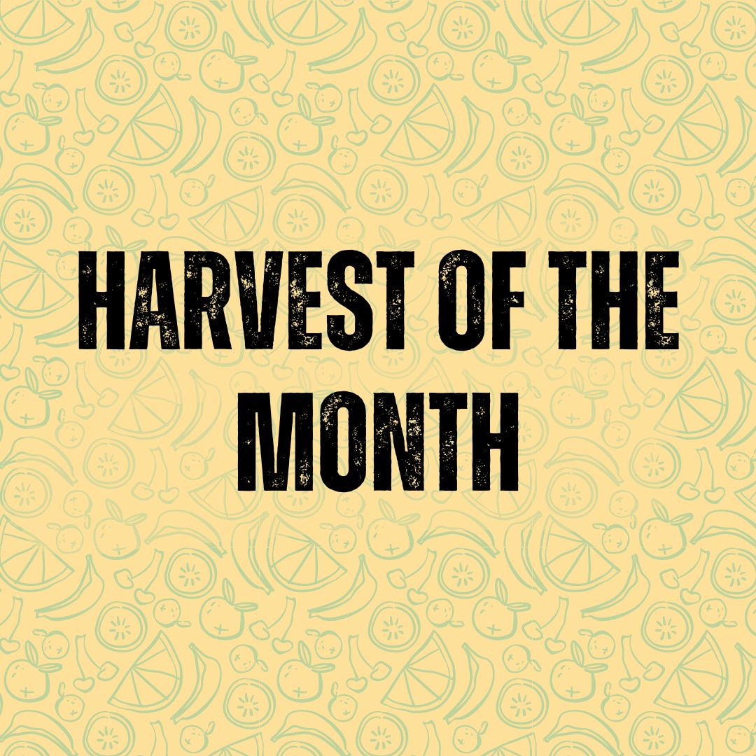 harvest of the month