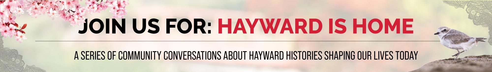 hayward_header2.jpg
