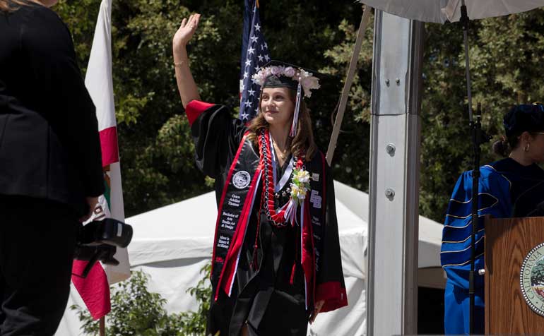 Minor Degrees