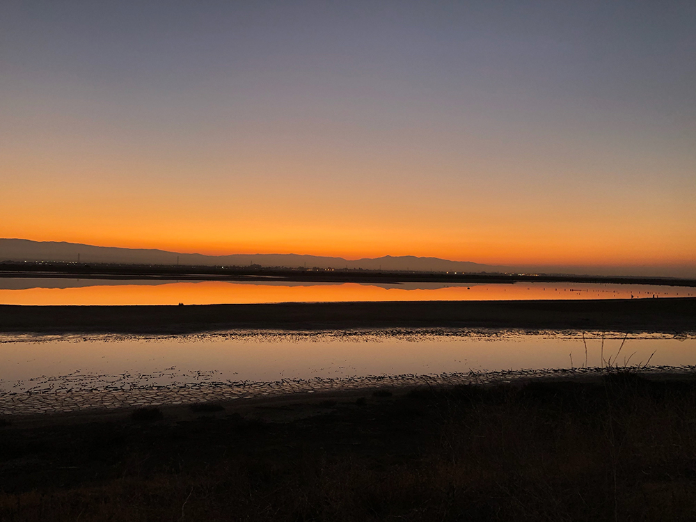 Hayward Shoreline at sunset
