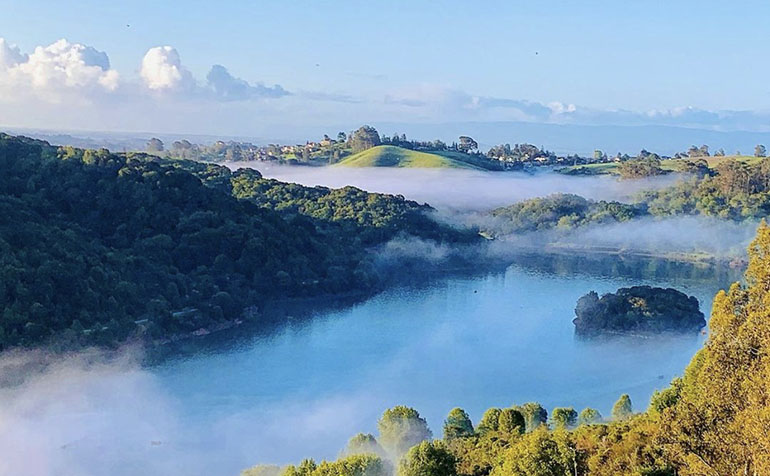 View of Lake Chabot