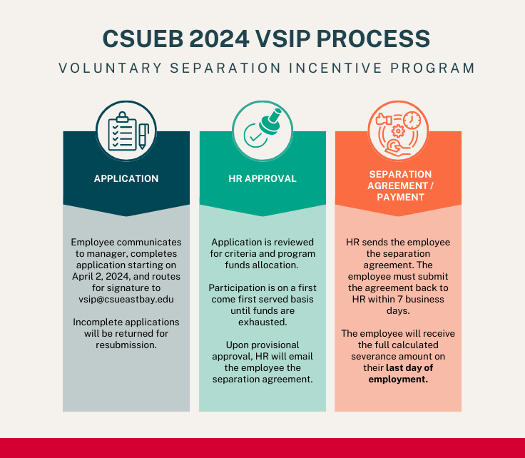 csueb-2024-vsip-process.png