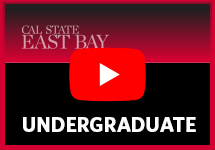 14-yt-video-undergraduate.png
