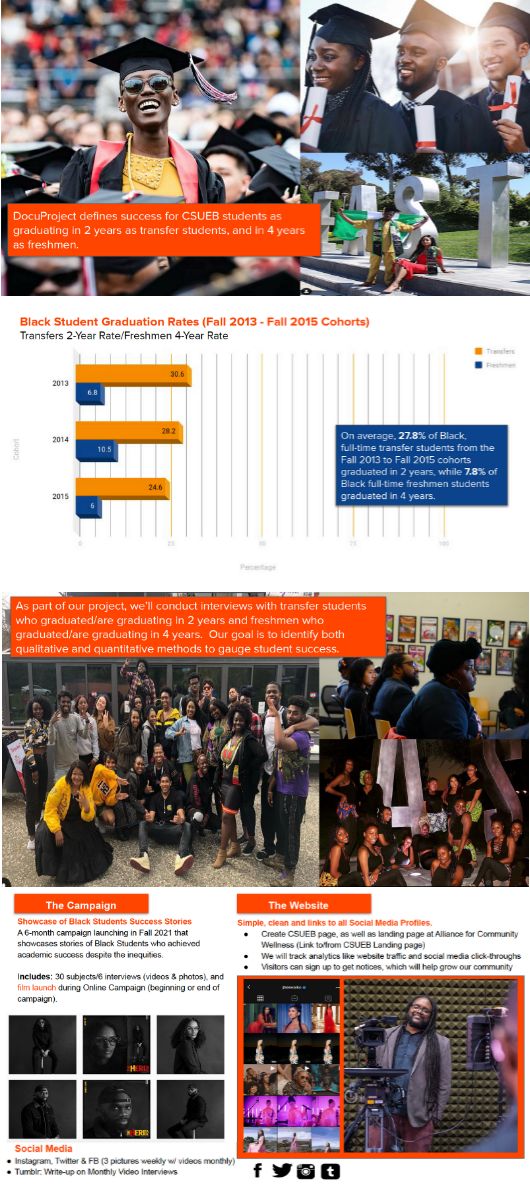 Black Excellence Infographic