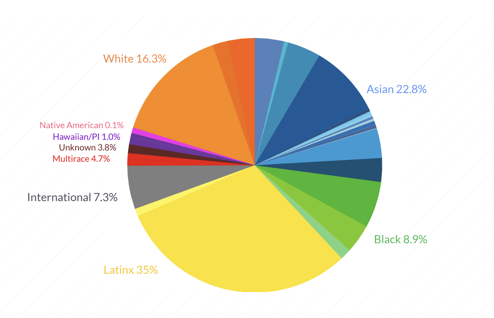 ethnicity pie 