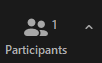 Zoom Participants