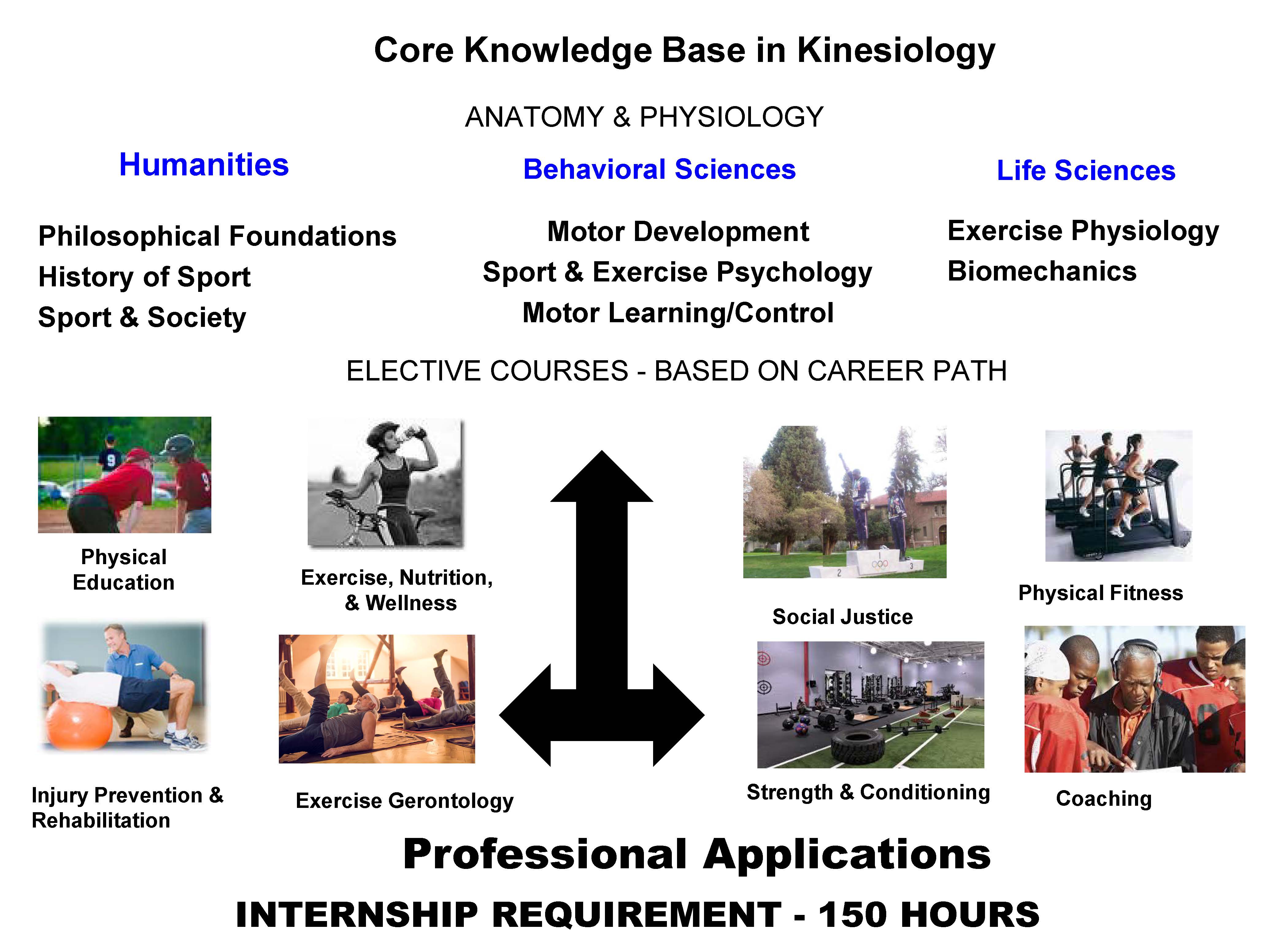 kin-schematic2018