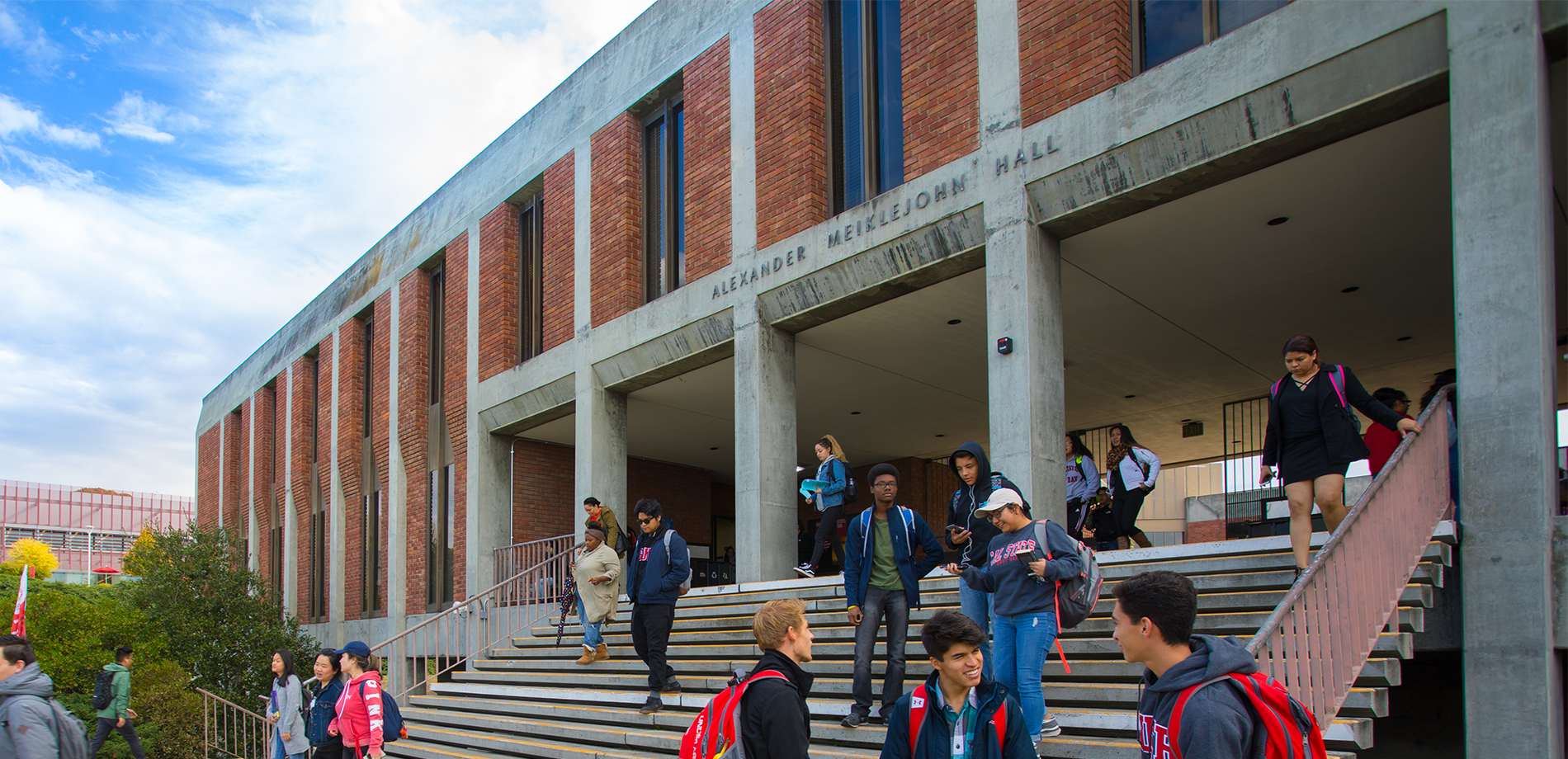 image of cactus burning and bottles