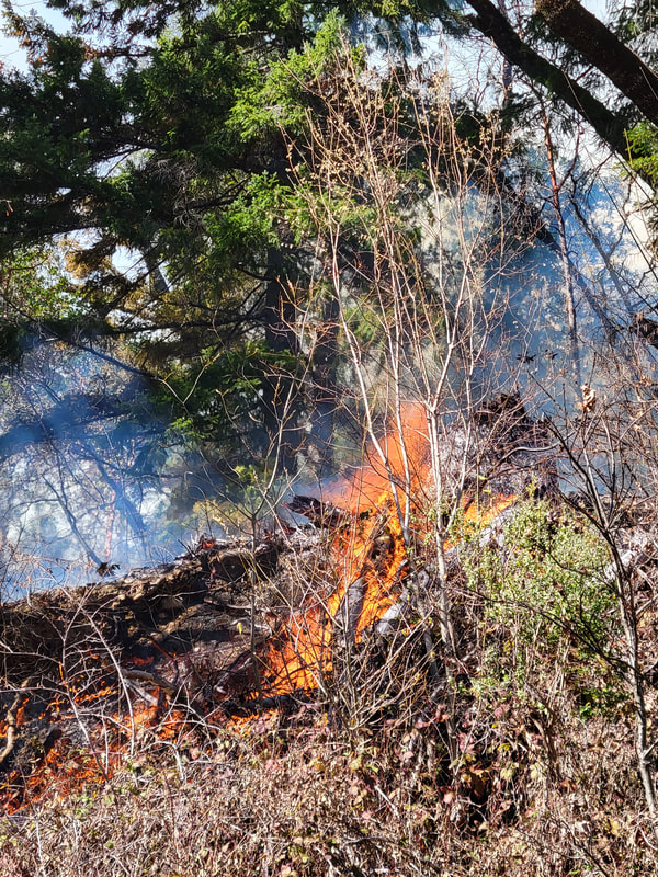 Photos and videos were taken at the Yurok reservation.