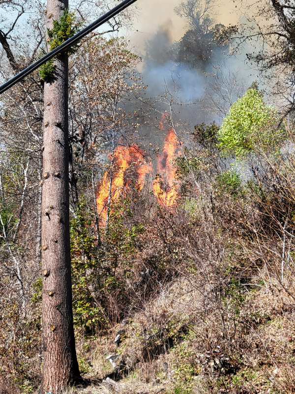 Photos and videos were taken at the Yurok reservation.