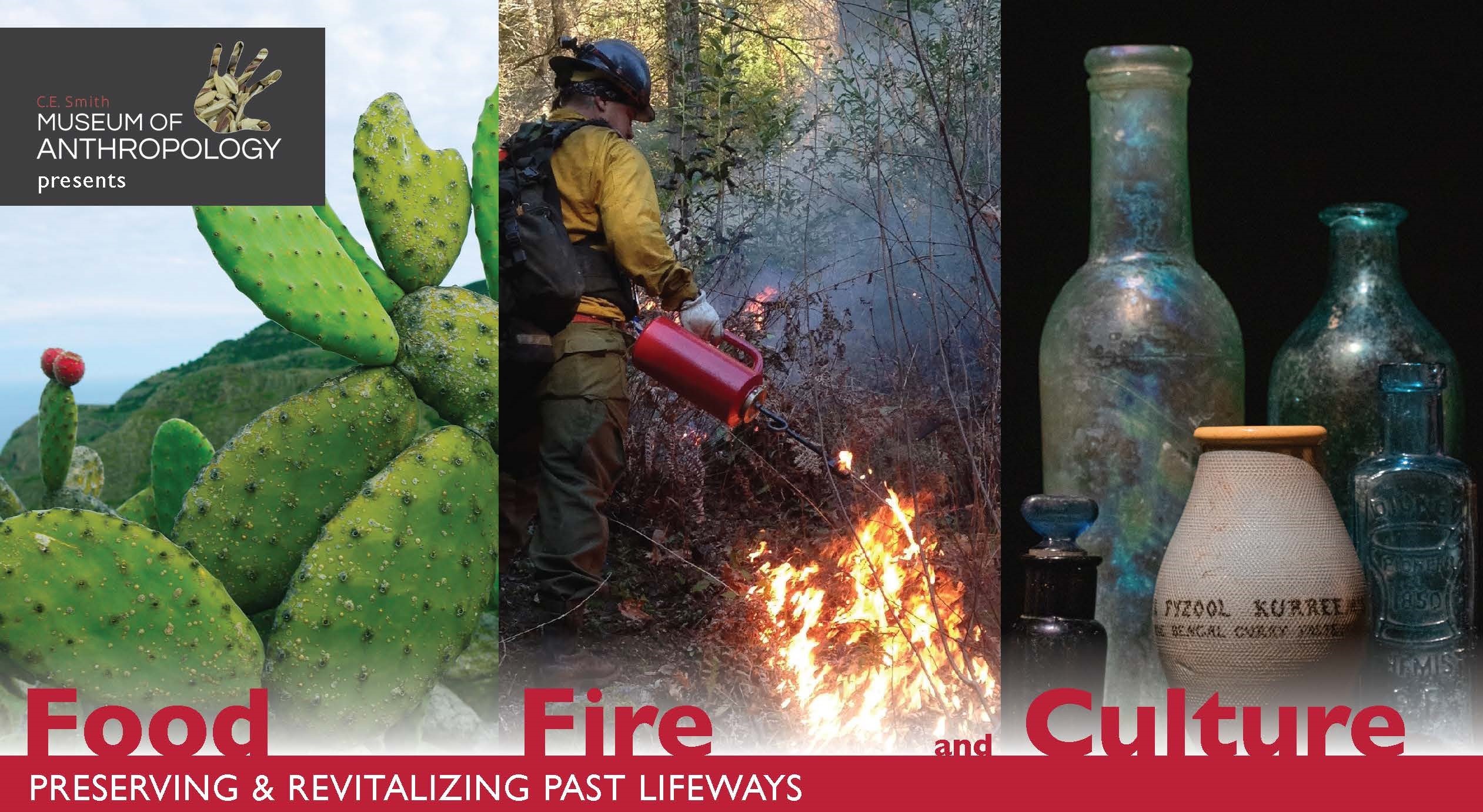 cactus, burning and bottles - panel ad