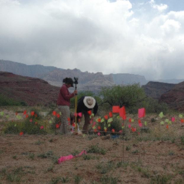 archaeologists surveying