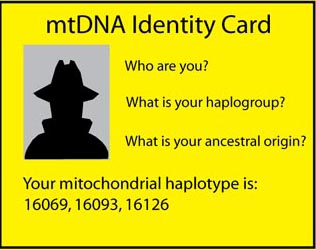 dna game card