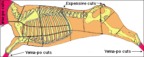 beef cuts