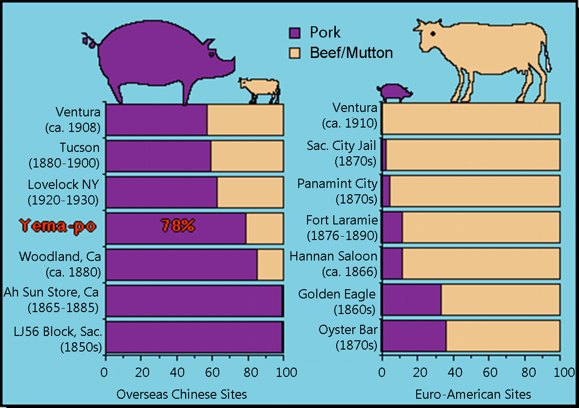 A Comparison of the Pork versus Beef Diet at 19th Century Chinese versus Euro-American Sites