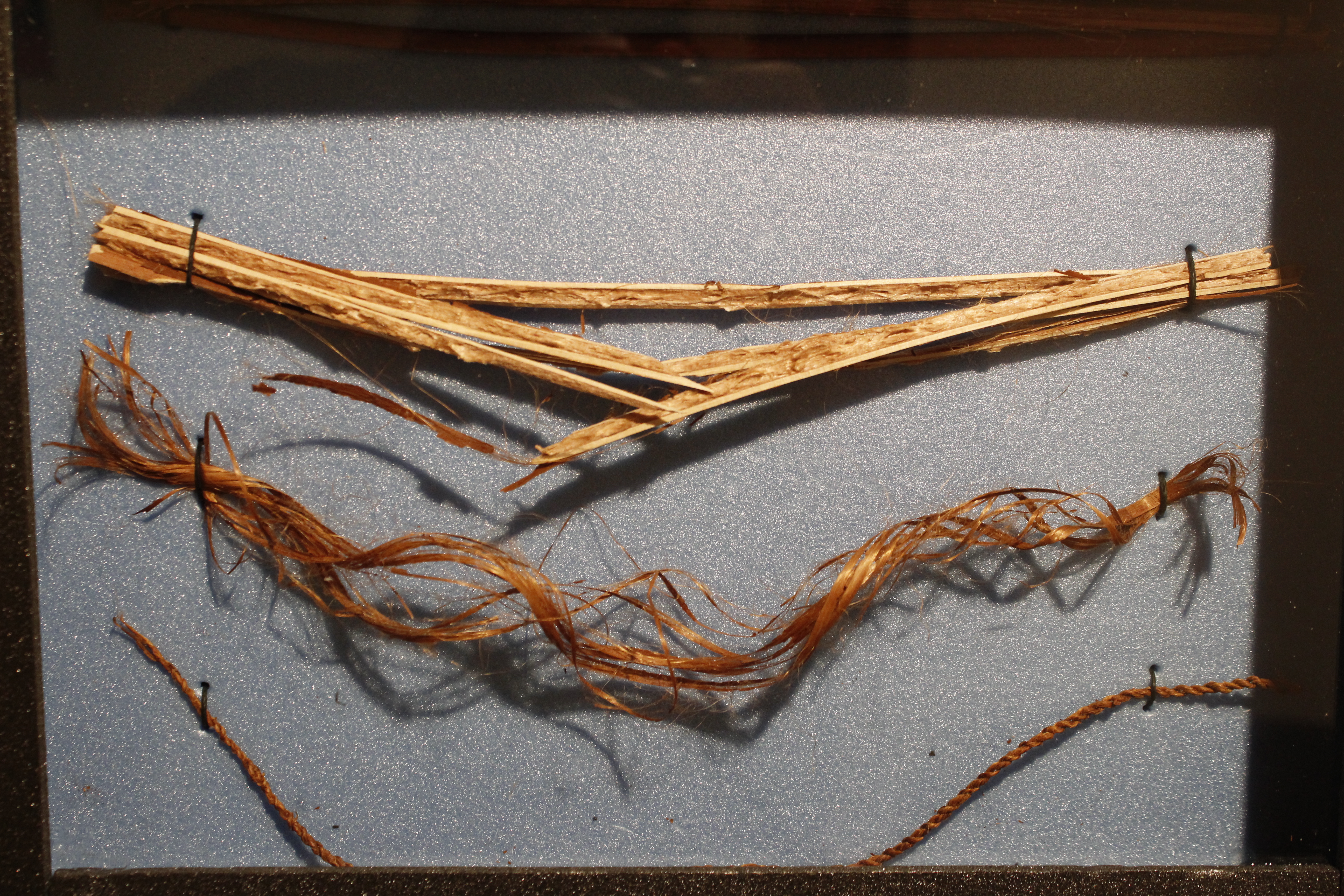 dried cordage