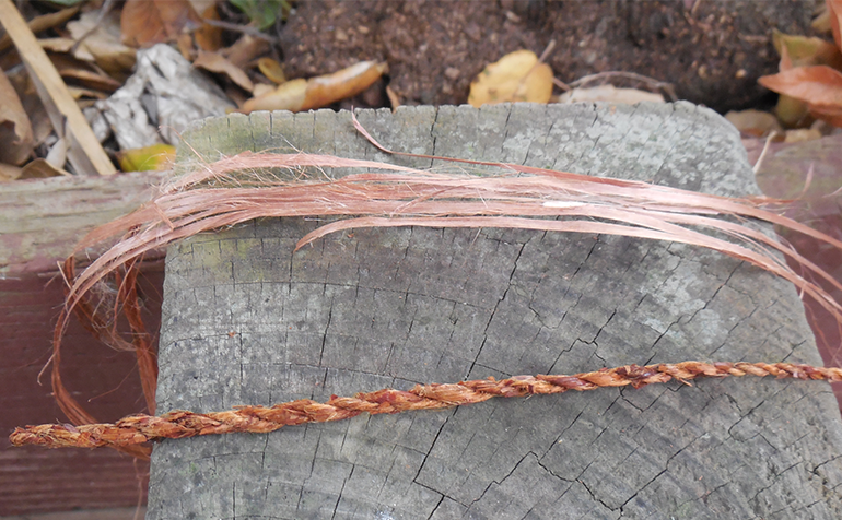 cordage