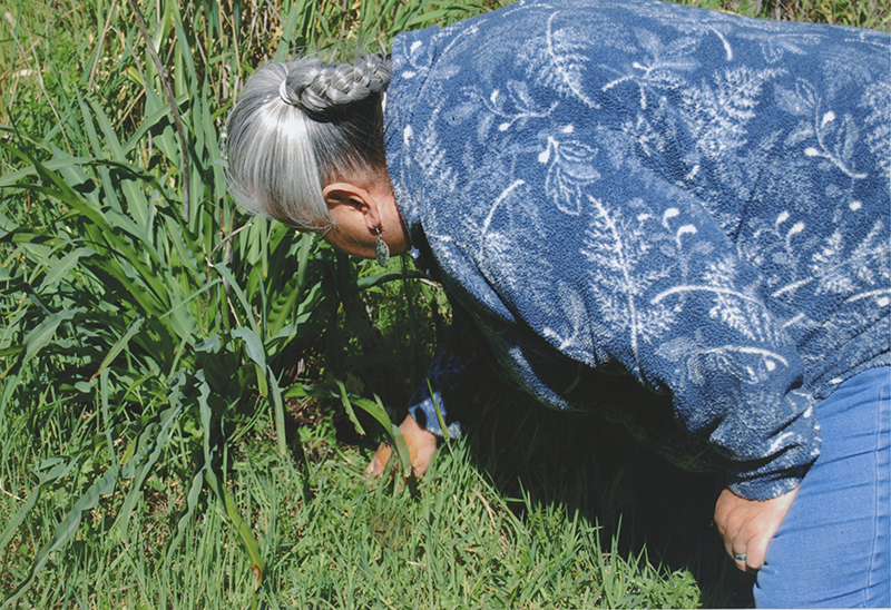 woman picking grass