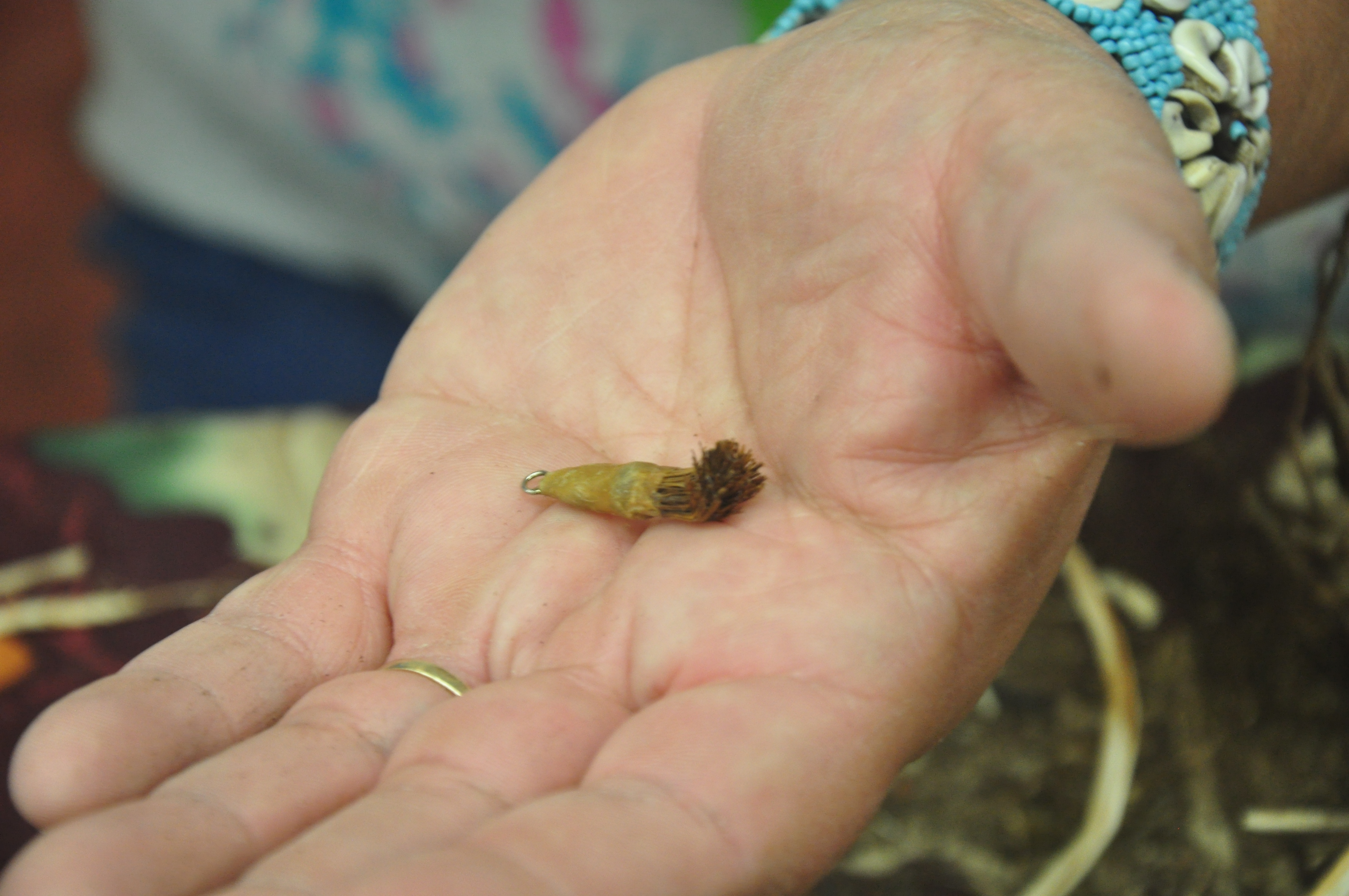 small soap root