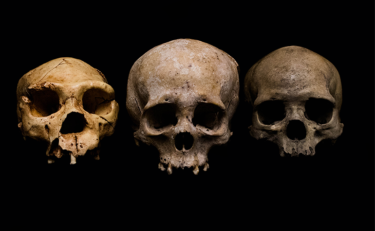 3 skulls