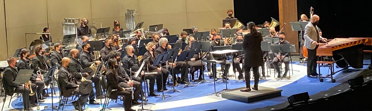 band performs