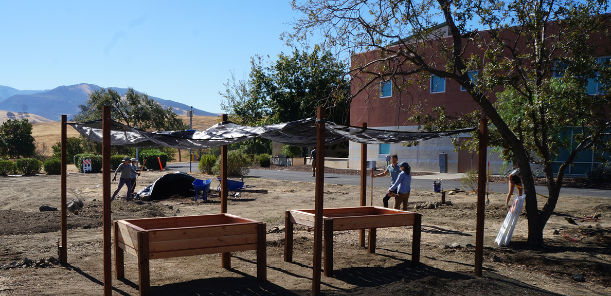 Concord Campus Ecocultural Garden