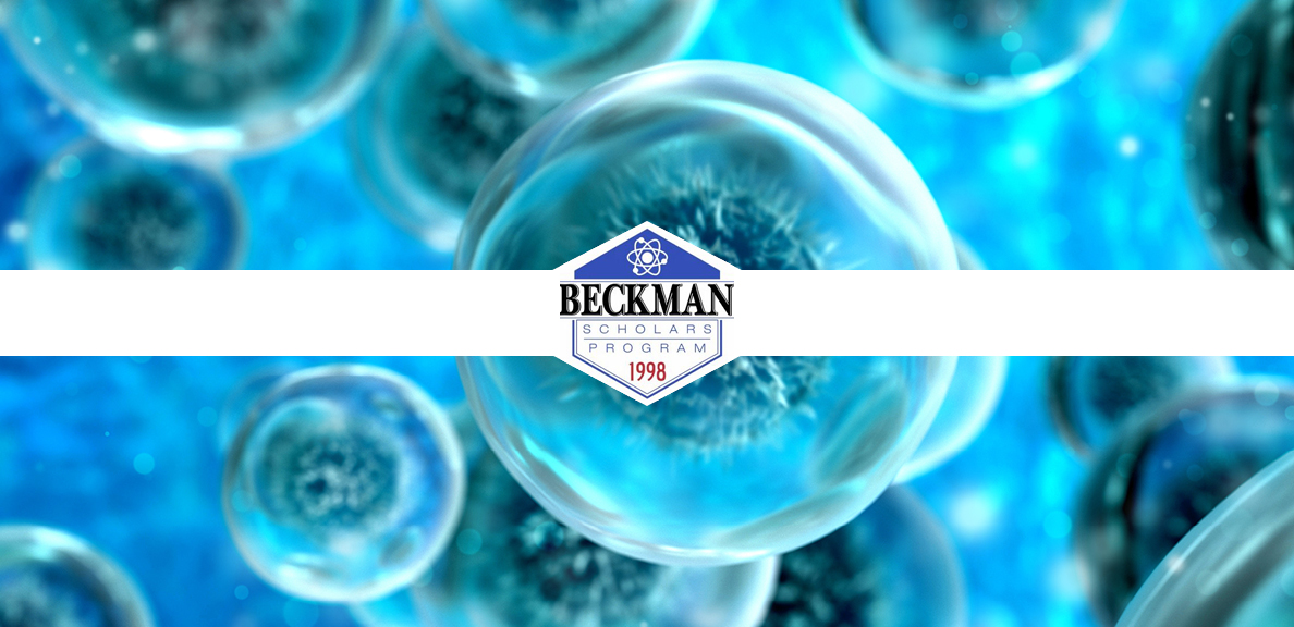 Beckman Scholars Fund graphic