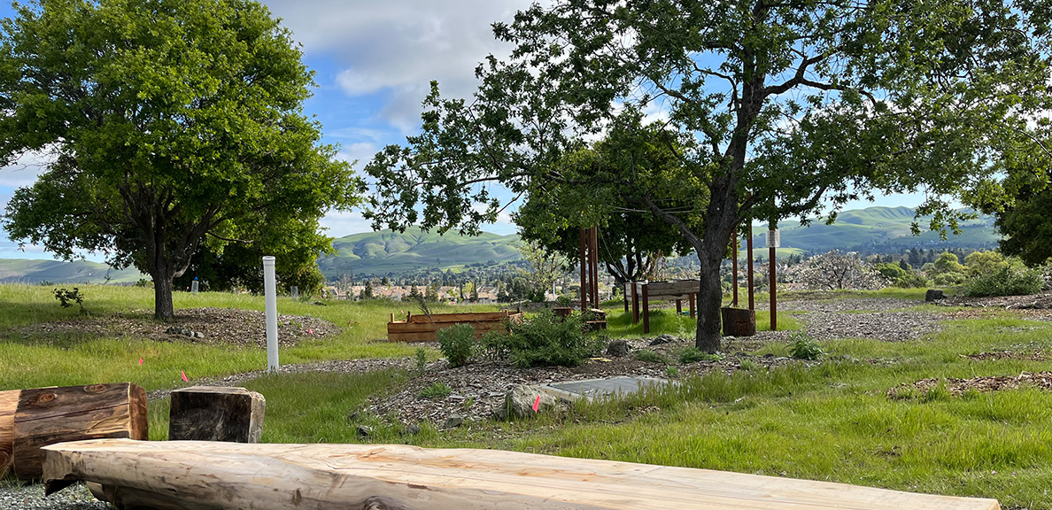 Native plant garden at Cal State East Bay's Concord Center 