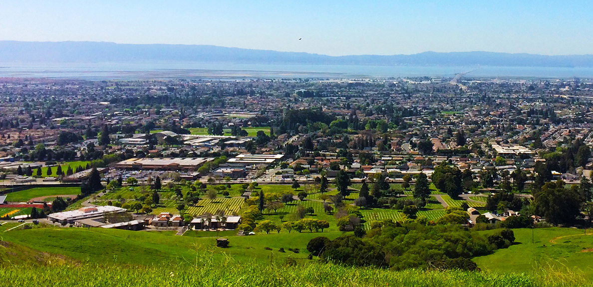 View of Hayward from campus