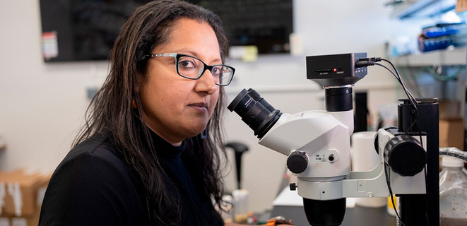 Divya Sitaraman in her laboratory