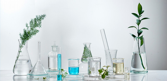 Photograph of plant stems and laboratory glassware such as beakers and flasks