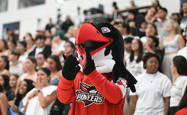 Perry the Peregrine Falcon clapping along with the audience.